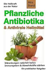 Pflanzliche Antibiotika & Antivirale Heilmittel