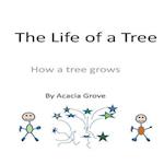 The Life of a Tree