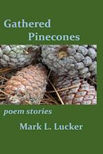 Gathered Pinecones