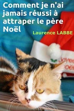 Comment Je n'Ai Jamais Réussi À Attraper Le Père Noël