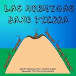 Las Hormigas Bajo Tierra