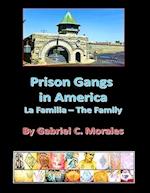 Prison Gangs in America