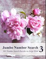 Jumbo Number Search 3