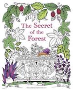The Secret of the Forest: Search for the hidden pieces of jewellery. A colouring book for adults. 