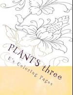 Plants Three