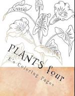 Plants Four