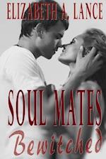 Soul Mates Bewitched