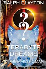 Terabyte Dreams by the Majestic Man