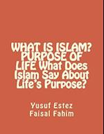 What Is Islam? Purpose of Life What Does Islam Say about Life's Purpose?