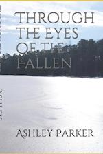 Through the Eyes of the Fallen