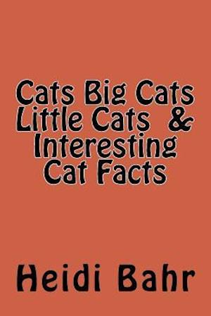 Cats Big Cats Little Cats & Interesting Cat Facts