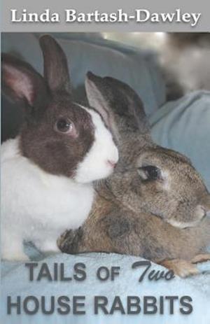 Tails of Two House Rabbits