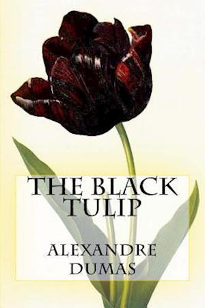 The Black Tulip