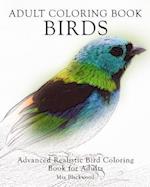 Adult Coloring Book Birds