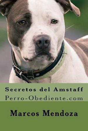 Secretos del Amstaff