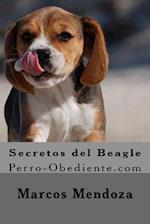 Secretos del Beagle