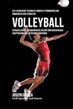 Das komplette Trainings-Workout-Programm zur Forderung der Starke im Volleyball