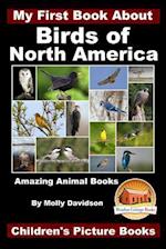 My First Book about the Birds of North America - Amazing Animal Books - Children's Picture Books