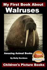 My First Book about Walruses - Amazing Animal Books - Children's Picture Books