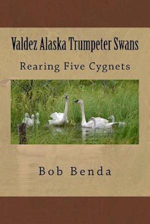 Valdez Alaska Trumpeter Swans