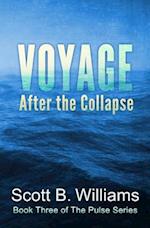 Voyage After the Collapse