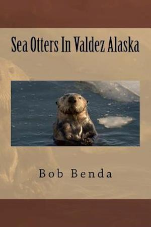 Sea Otters in Valdez Alaska