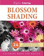 Blossom Shading