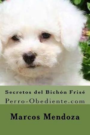 Secretos del Bichon Frise