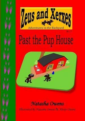 Past the Pup House