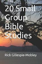 20 Small Group Bible Studies