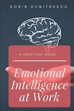Emotional Intelligence at Work: A Practical Guide 