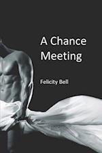 A Chance Meeting 