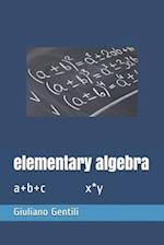 elementary algebra: a+b+c x*y 