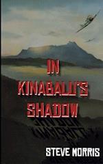 In Kinabalu's Shadow