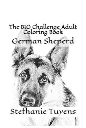 The BIG Challenge Adult Coloring Book