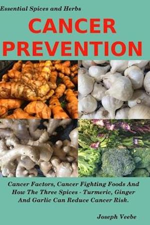 CANCER PREVENTION: Cancer Factors, Cancer Fighting Foods And How The Spices Turmeric, Ginger And Garlic Can Reduce Cancer Risk