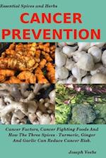 CANCER PREVENTION: Cancer Factors, Cancer Fighting Foods And How The Spices Turmeric, Ginger And Garlic Can Reduce Cancer Risk 