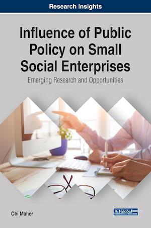Influence of Public Policy on Small Social Enterprises