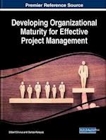 Developing Organizational Maturity for Effective Project Management