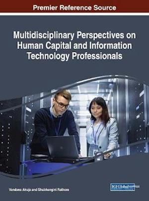 Multidisciplinary Perspectives on Human Capital and Information Technology Professionals