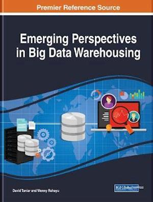 Emerging Perspectives in Big Data Warehousing