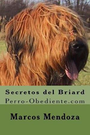 Secretos del Briard