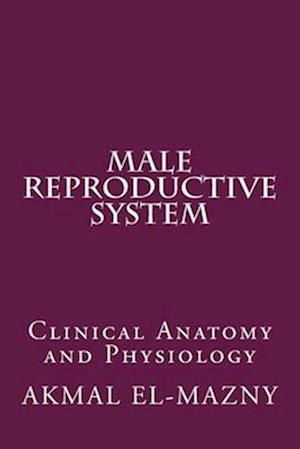 Male Reproductive System: Clinical Anatomy and Physiology