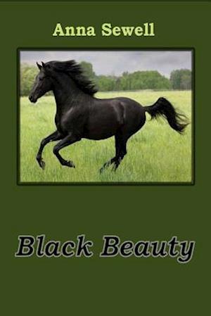 Black Beauty