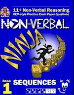 11+ Non Verbal Reasoning