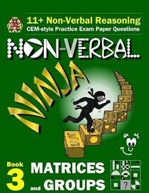 11+ Non Verbal Reasoning