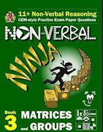 11+ Non Verbal Reasoning