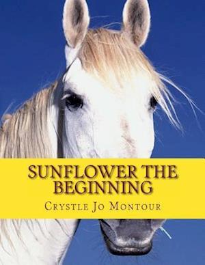 Sunflower the Beginning