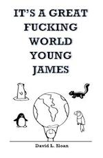 It's a Great Fucking World, Young James