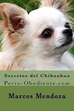Secretos del Chihuahua